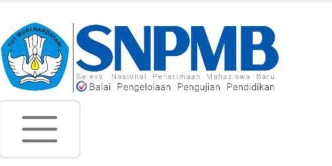 Tangkapan layar Portal SNPMB