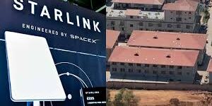 Scammers di Myanmar pakai Starlink Elon Musk