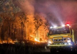 Suaka Margasatwa Emu Mudgeroo terbakar 4 tahun lalu