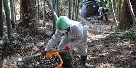 Tanah Terkontaminasi dari Fukushima