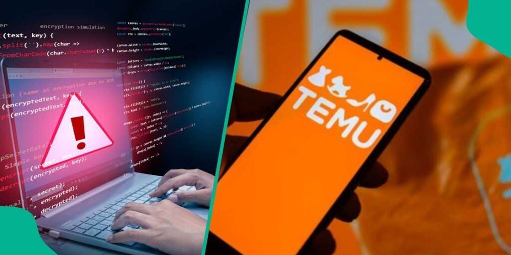 Temu, e-commerce milik China