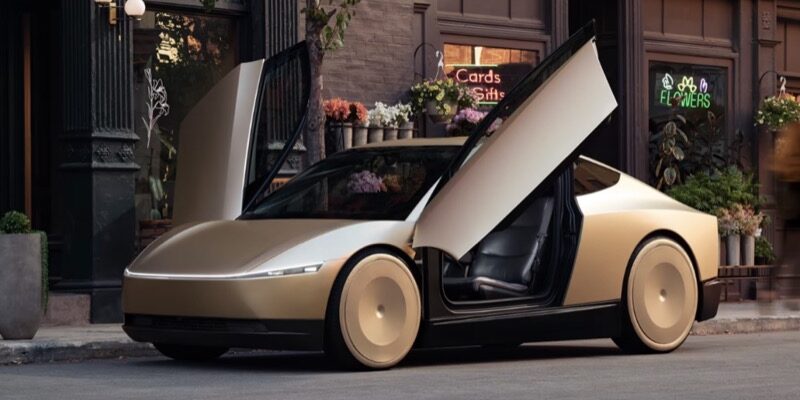 Tesla Robotaxi 