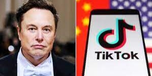 TikTok minta masukan dari Elon Musk