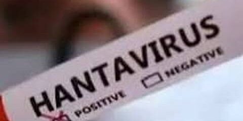 Turis Prancis Positif Hantavirus
