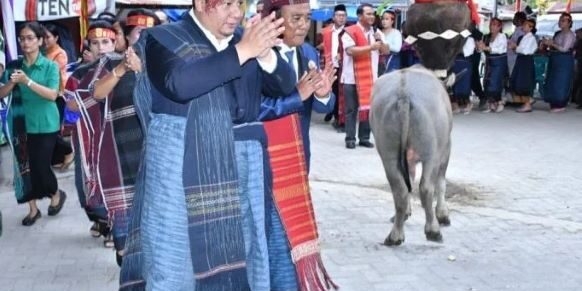 Pesta adat Horja Bius dan ritual Mangalahat Horbo di Kecamatan Palipi yang dihaditi Bupati Samosir. (foto: ist)