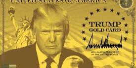 Visa Gold Card Trump