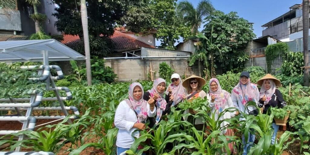 Kelompok pertanian hidroponik 