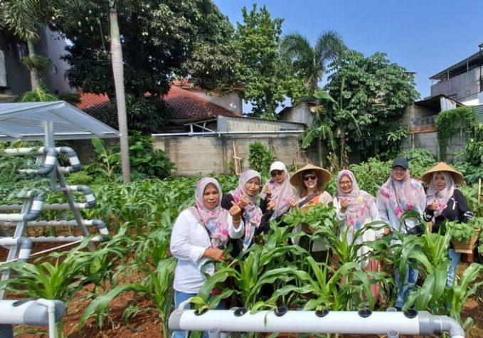 Kelompok pertanian hidroponik 