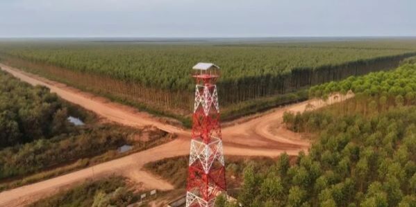 Menara api setinggi 32 meter digunakan untuk memantau karhutla selama 24 Jam di Musi Banyuasin, Sumatera Selatan. (Foto: dok APP/PT