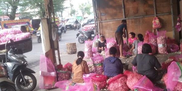 Para pekerja mensortir bawang putih di kompleks pusat perdagangan dan grosir terbesar di area metropolitan Medan. (Foto: Fadmin Malau)