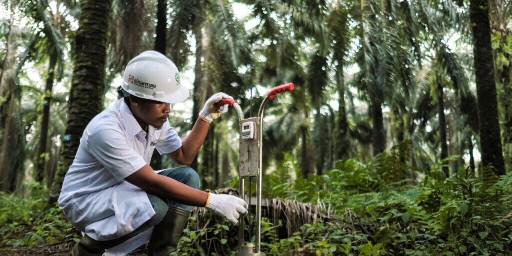 Penerima beasiswa berkesempatan berkarier di Sinar Mas Agribusiness and Food setelah menyelesaikan perkuliahan