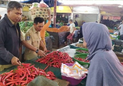 aktivitas pedagang cabai di pasar induk Mandalika Kota Mataram, Provinsi Nusa Tenggara Barat