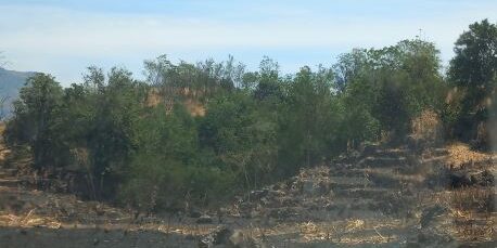 Tanah yang Lelah