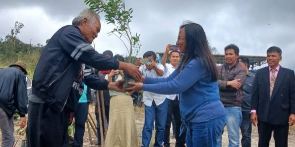 Ketua Yayasan Pusuk Buhit Efendy Naibaho menyerahkan bibit tanaman untuk ditanam.

