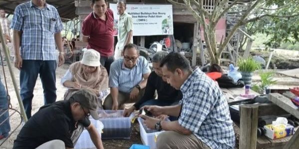 Cegah Karhutla dengan DMPA Perikanan Air Tawar, PT Arara Abadi, mitigasi dan tingkatkan ekonomi masyarakat beternak Baung. (Foto: dok APP Group)