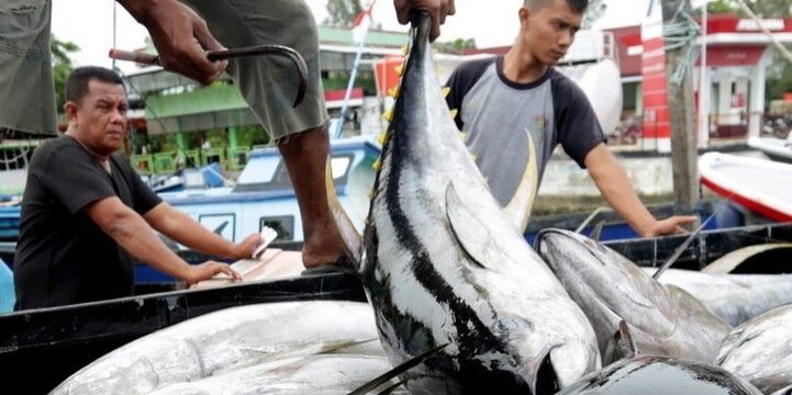 Ikan tuna