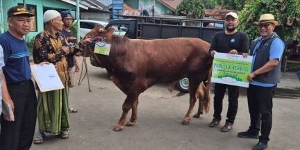 PT. Indah Kiat Tangerang salurkan hewan kurban


