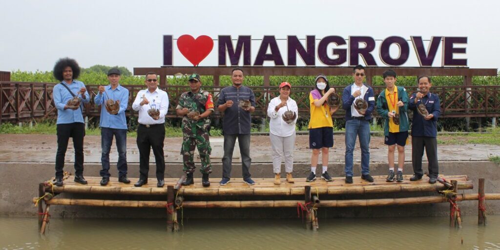Mangrove di Ketapang-Urban Aquaculture