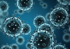Ilustrasi virus Nipah - Simak gejala dan juga ciri-ciri dari virus Nipah yang saat ini sedang menyebar di negara India, ketahui penyebab serta resikonya.



