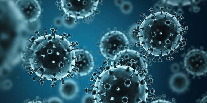 Ilustrasi virus Nipah - Simak gejala dan juga ciri-ciri dari virus Nipah yang saat ini sedang menyebar di negara India, ketahui penyebab serta resikonya.


