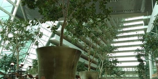Gedung perkantoran, pusat bisnis di Singapura ditanam pohon dan berbagai tanaman

