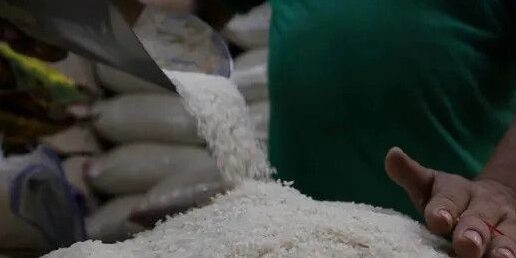 Beras Oplosan Jadi Premium 