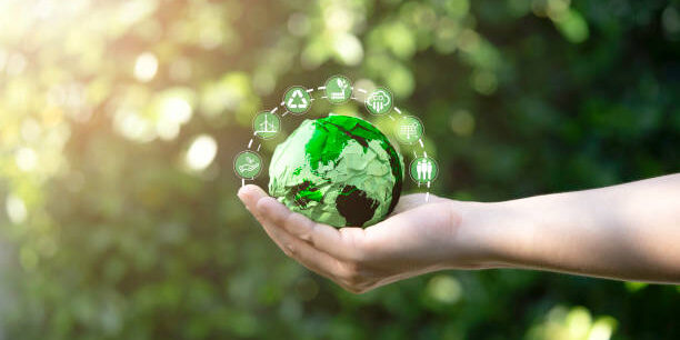 Ekonomi Karbon Pertanian