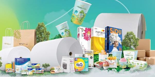 Kemasan kertas APP Group

