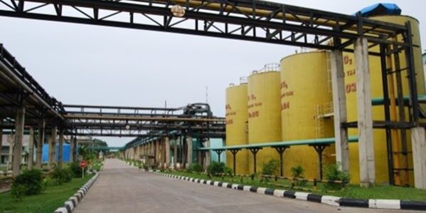 Pabrik PT Lontar Papyrus Pulp & Paper Industry. (Foto: dok LPPI)

