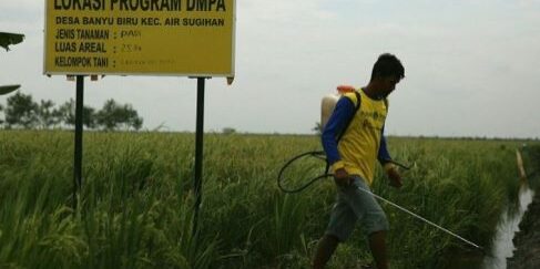 Dampak positif program DMPA

