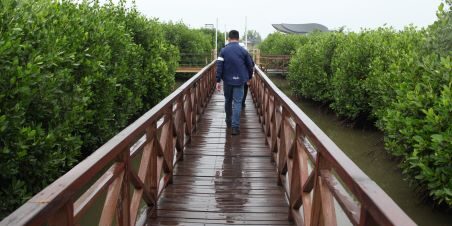 Penanam sekitar 173.000 bibit mangrove di sepanjang pesisir utara Tangerang