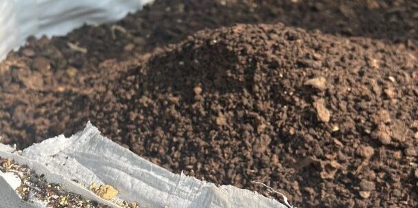 Dari air limbah menjadi biofuel. (Foto: dok APP Sinarmas)