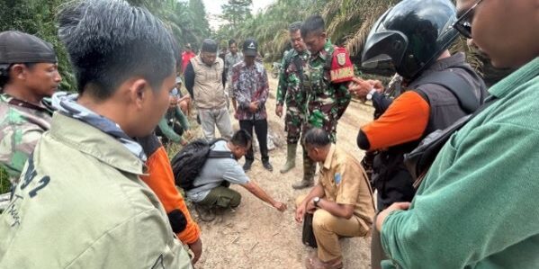 Ruang hidup Gajah Sumatera di lanskap Sugihan–Simpang Heran