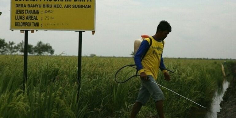 Program Desa Makmur Peduli Api (DMPA) Bentuk Petani Mandiri. (Foto: dok APP Sinarmas)