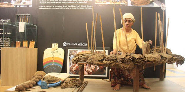 Tembakau Deli di Museum Perkebunan di Medan