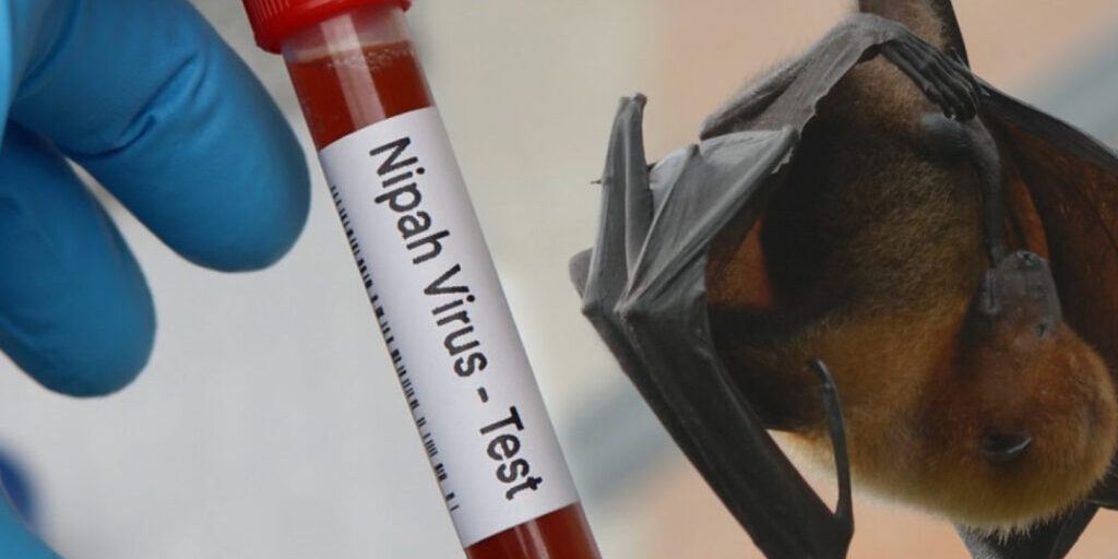 virus nipah
